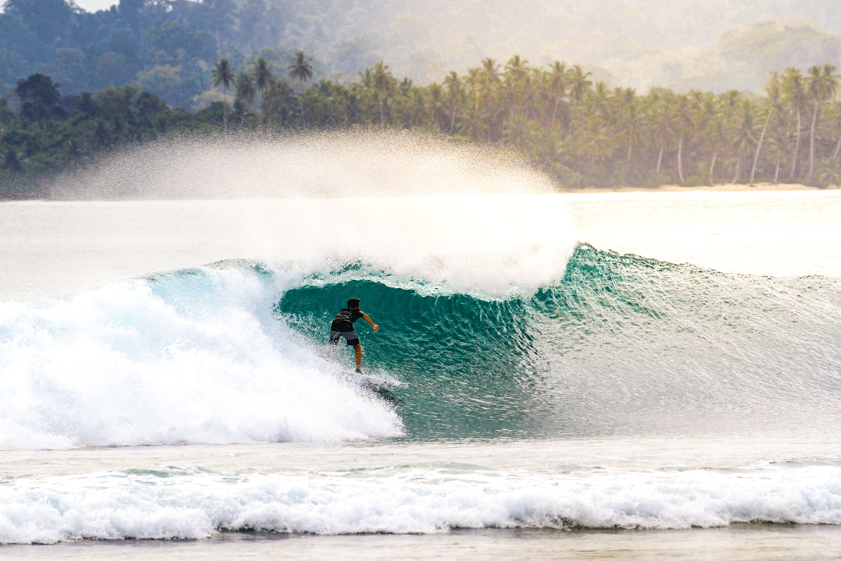 Quit Limits – Branding
