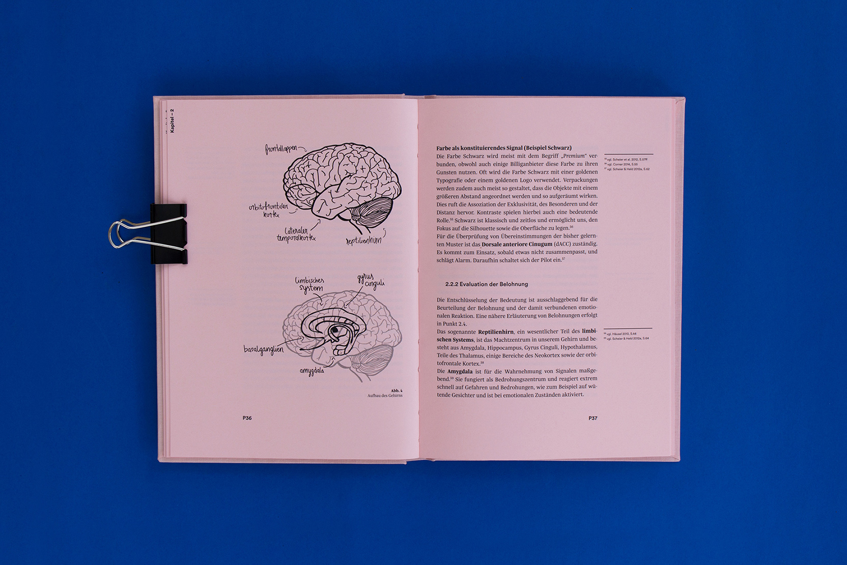 Brain-7